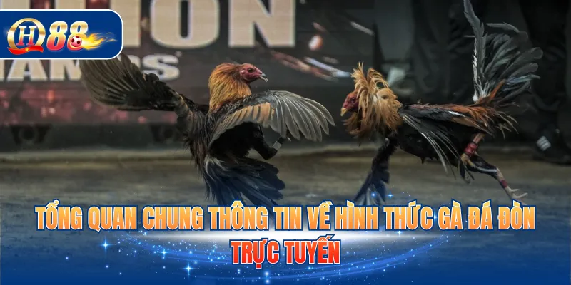 Tổng quan chung thông tin về hình thức gà đá đòn trực tuyến
